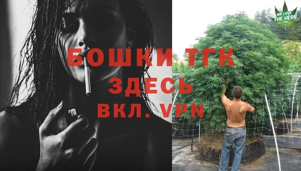 индика Баксан